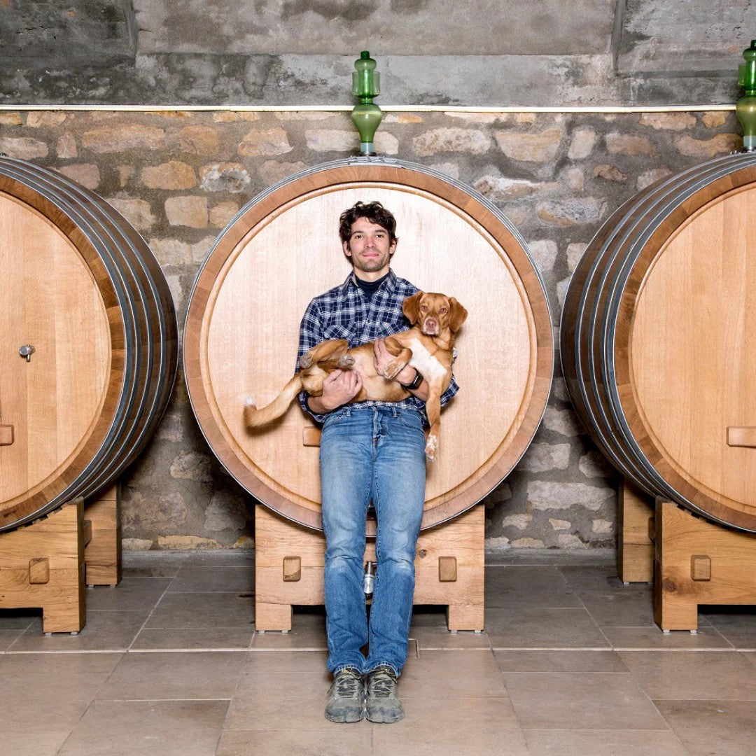 Domaine Delaporte