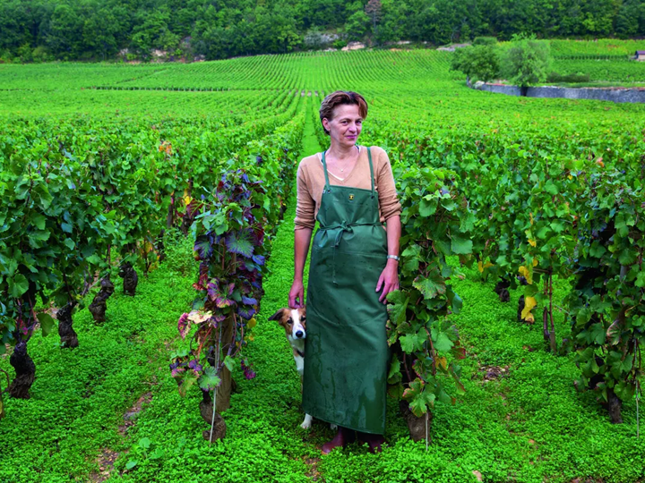 Domaine Sylvie Esmonin