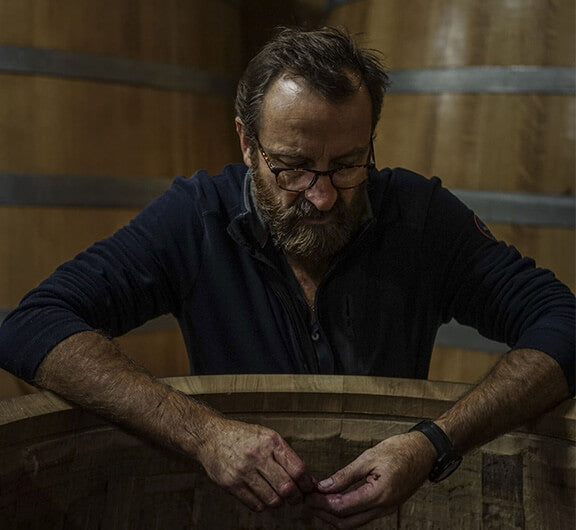 Domaine des Roches Neuves