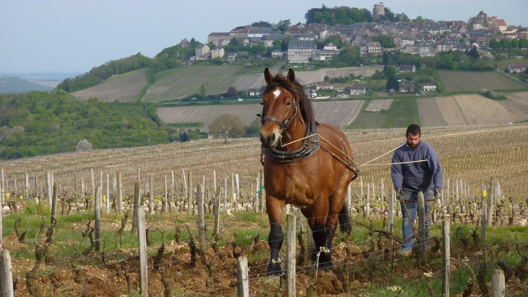 Domaine Claude Riffault