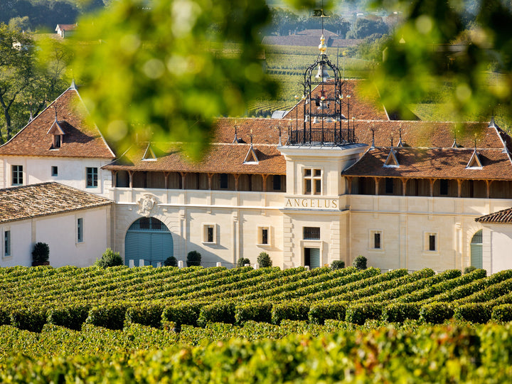 Chateau Angelus 건물과 종탑, 포도밭 전경
