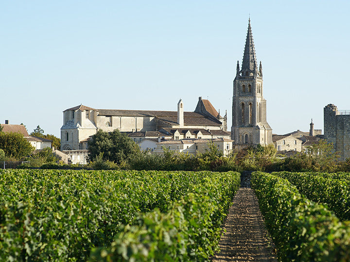 Chateau Belair-Monange 포도원과 Saint-Émilion 전경