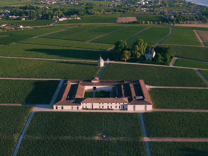 Chateau Latour 샤또와 Enclos 항공 전경