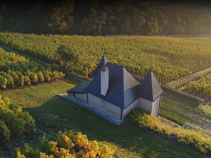 Domaine Ponsot와 Morey-Saint-Denis 포도밭