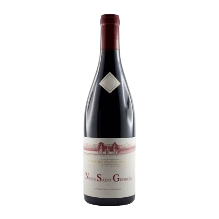 도멘 미쉘 그로 뉘 생 조르주 2022 Domaine Michel Gros