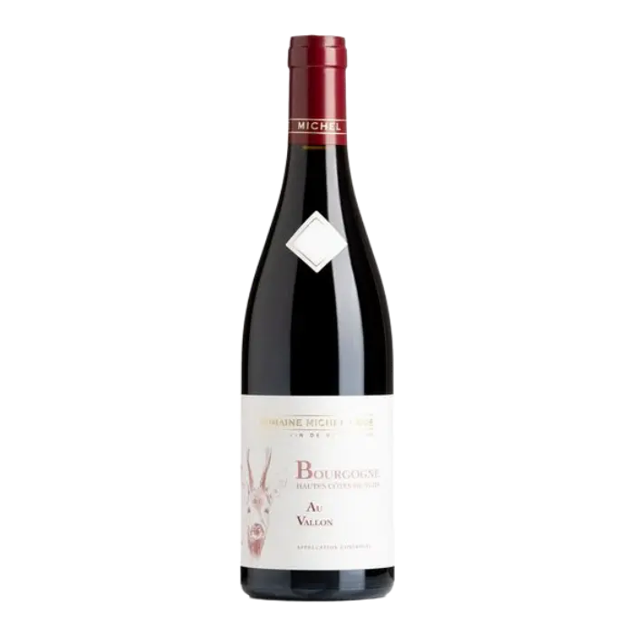 도멘 미쉘 그로 오뜨 꼬뜨 드 뉘 오 발롱 2023 Domaine Michel Gros