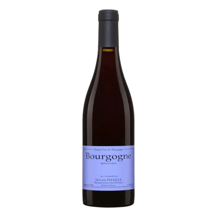 실뱅 파타유 부르고뉴 루즈 2023 Sylvain Pataille