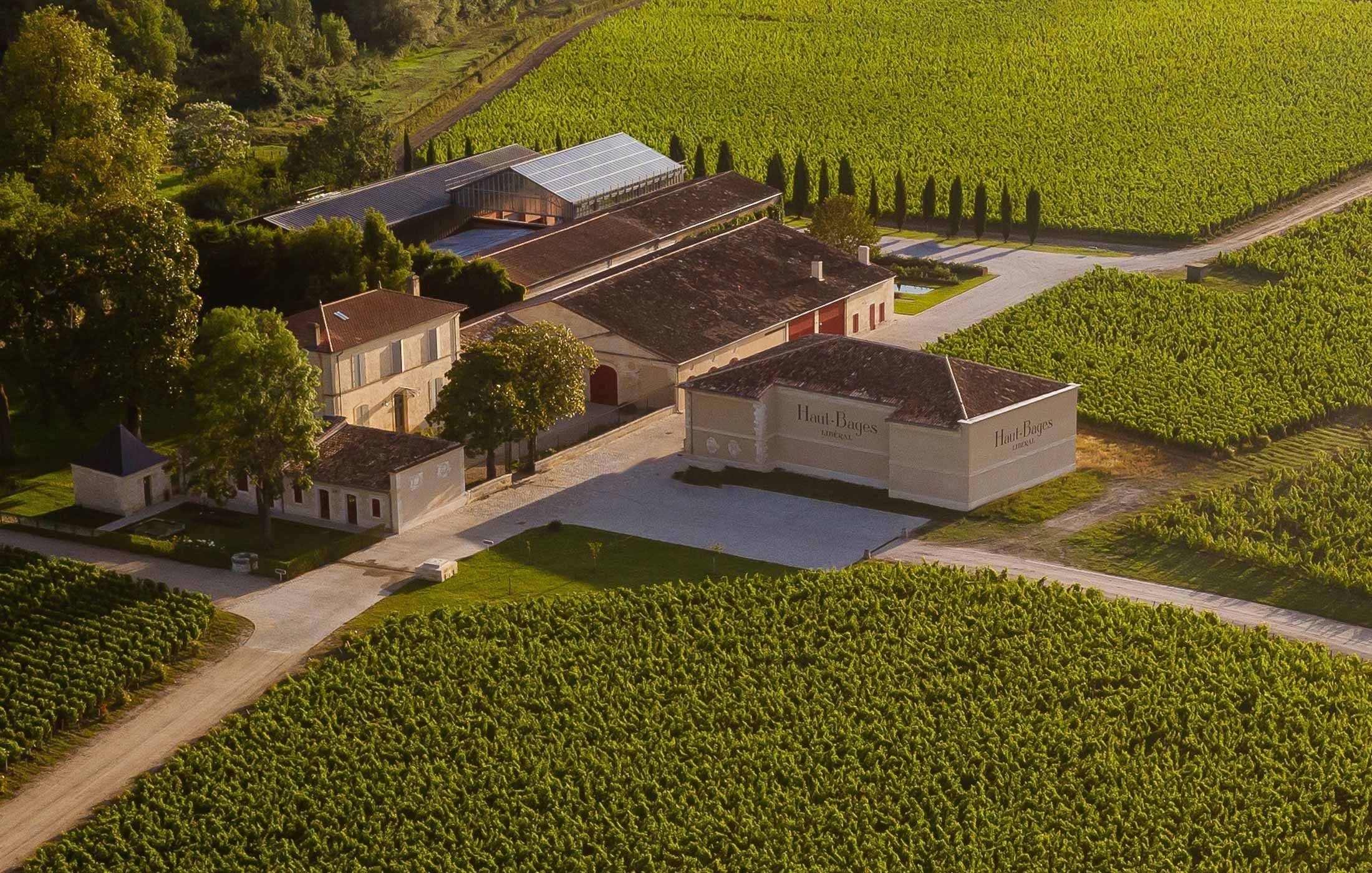Chateau Haut Bages Liberal