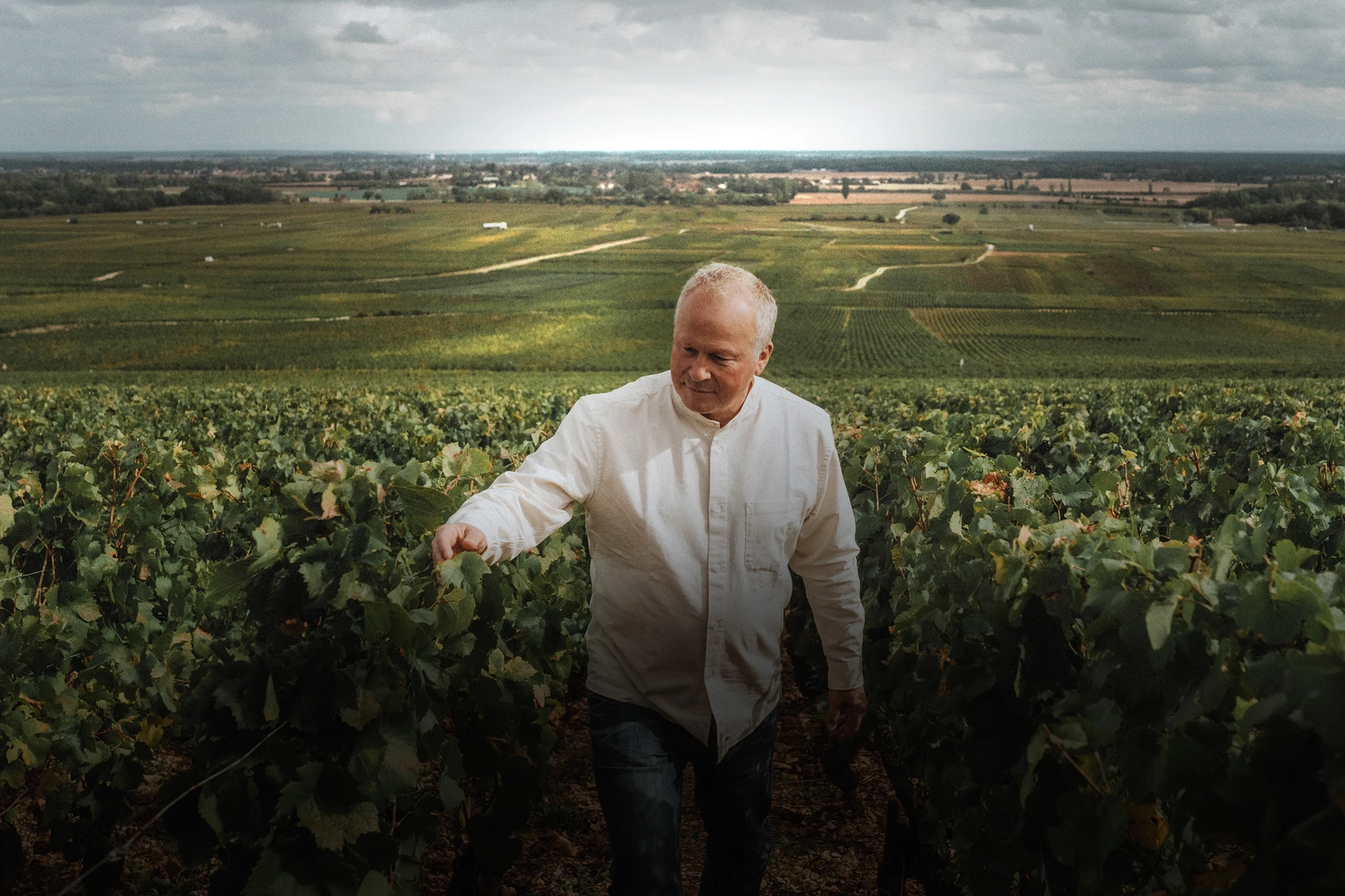 Domaine de Montille