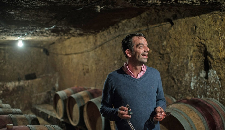 Domaine Guiberteau