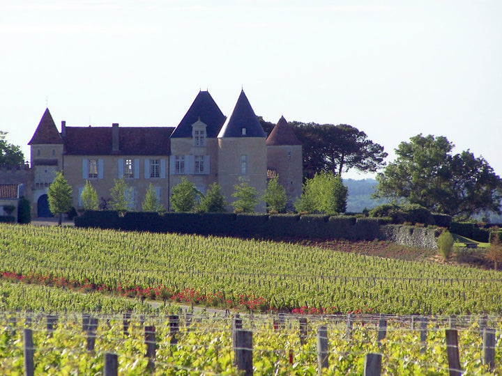 Chateau d'Yquem exterior — Henry Salomé, CC BY-SA 4.0; cropped to 4:3