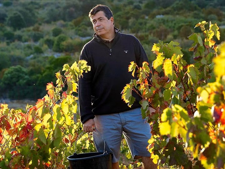 Domaine du Clos des Fees
