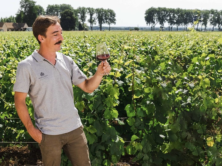 Clos Marey-Monge 포도밭에서 와인을 살피는 Chateau de Pommard의 양조 책임자 Paul Négrerie