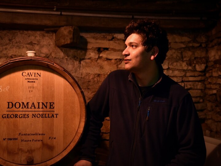 Maxime Cheurlin in the Domaine Georges Noellat cellar