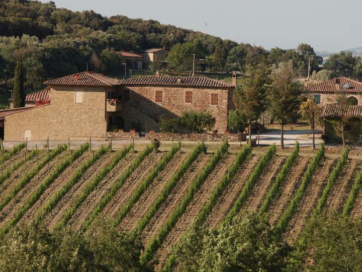 Sassetti Livio Pertimali estate in Montosoli
